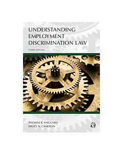 Understanding Series: Understanding Employment Discrimination 9781531011772